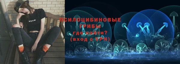 крисы Кодинск