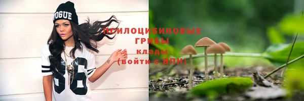 экстази Краснослободск