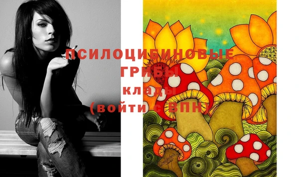 спайс Козловка