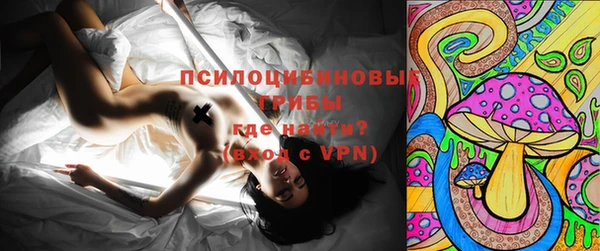 PSILOCYBIN Корсаков