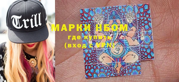 PSILOCYBIN Корсаков