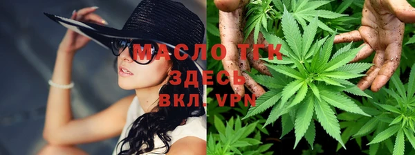 PSILOCYBIN Корсаков