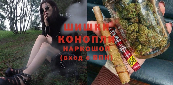 крисы Кодинск