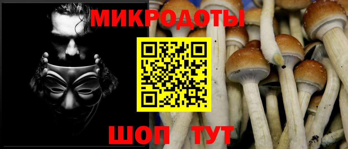 Краснотурьинск  Галлюциногенные грибы Magic Shrooms  Вход с VPN 